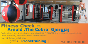 Box Fitness Training bei Arnold Boxfit Pratteln